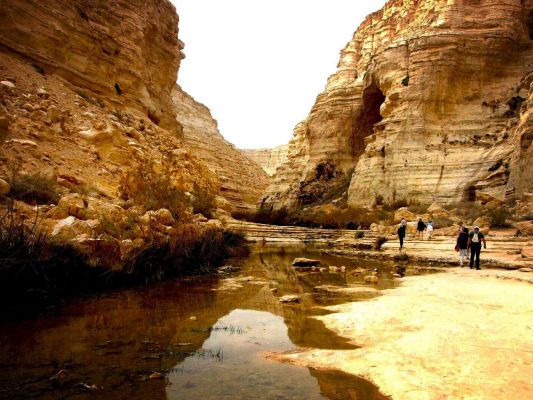 Israel Wueste Zin En Avdat Naturpark 2