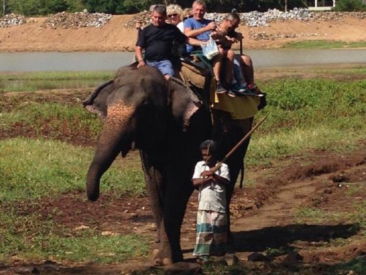 Sri Lanka Info Reise Elefanten Besonderes Erlebnis T6