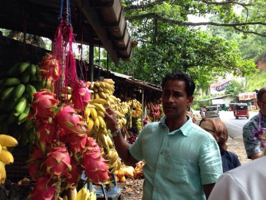 Sri Lanka Info Reise Bananensorten