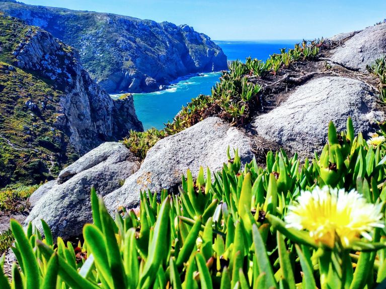 Cabo De Roca Pixabay